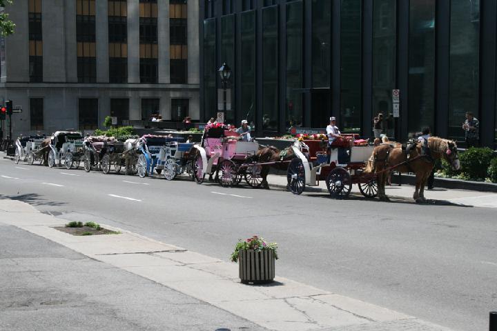 Vieux Montreal 045.JPG